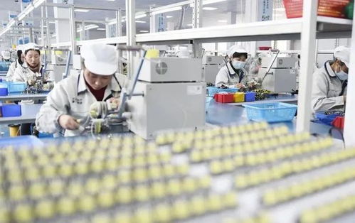 小微企業成留抵退稅重點，旅游業務迎政策春風
