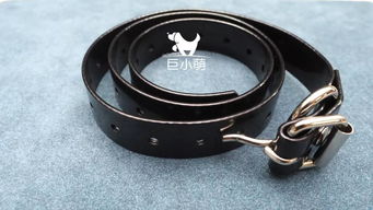 止吠器評(píng)測(cè) 代言狗“以身試法”，美女員工電擊自虐引爭(zhēng)議