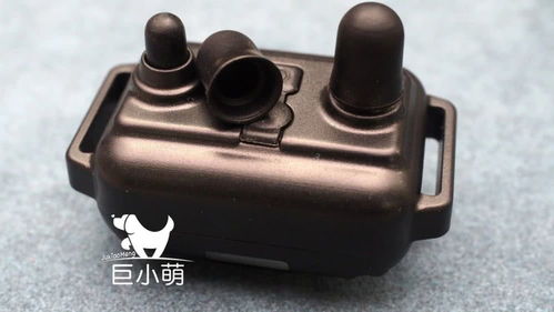 訓(xùn)犬止吠器評(píng)測(cè) 美女電擊親測(cè)，有用但請(qǐng)盡可能不用